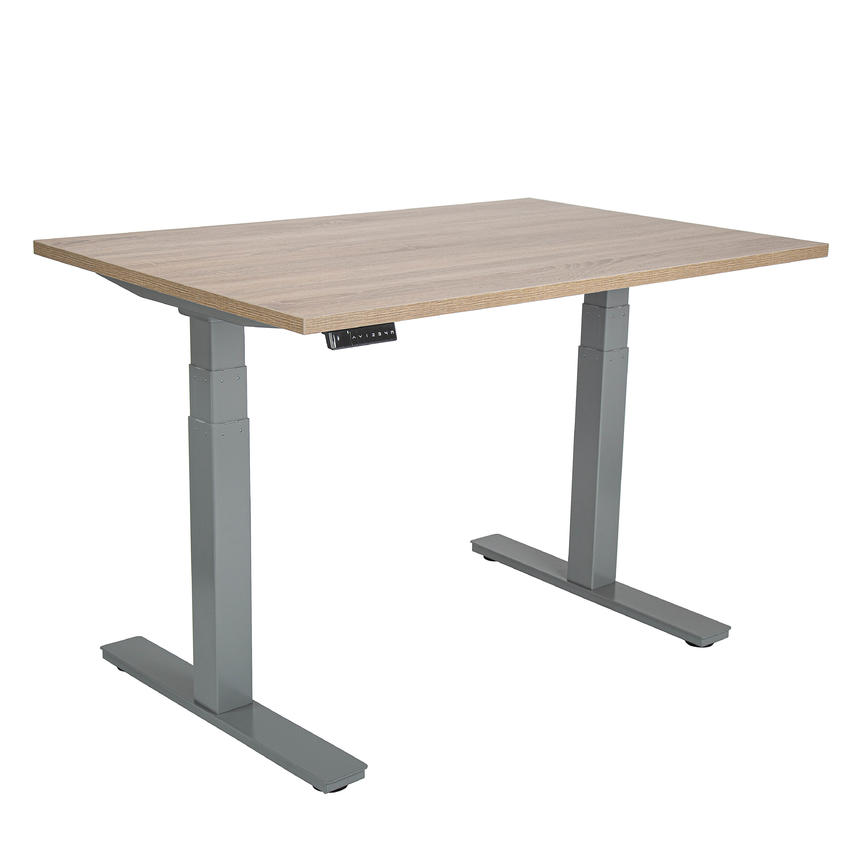Standing desk cheap with memory